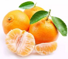 【自营水果】八月橘 约3斤